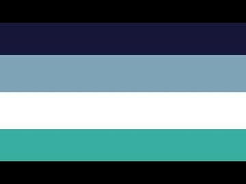 Proposed Flag for Aegosexual stripes top to bottom: black, dark navy blue, light blue grey, white, teal, black
